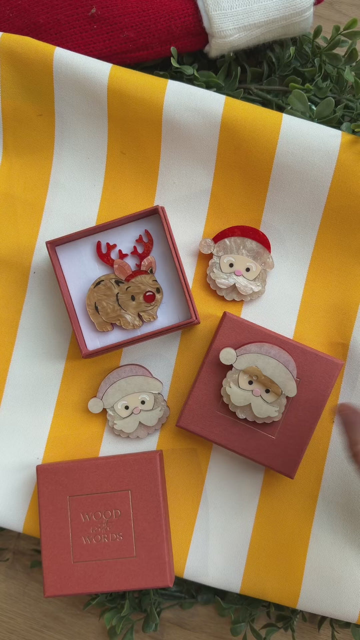 Santa Claus Brooch