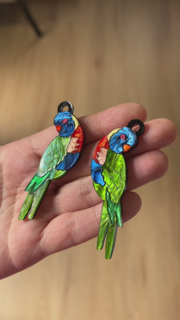 Rainbow Lorikeet Dangle Earrings